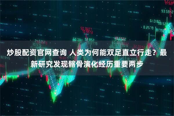 炒股配资官网查询 人类为何能双足直立行走？最新研究发现髂骨演化经历重要两步
