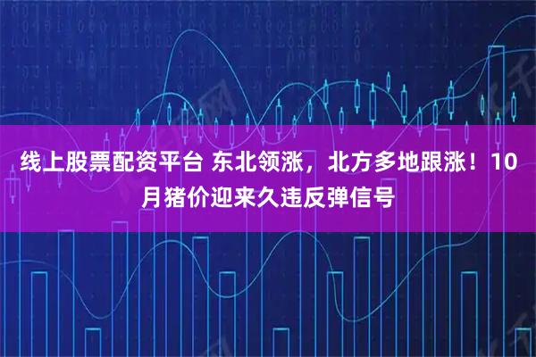 线上股票配资平台 东北领涨，北方多地跟涨！10月猪价迎来久违反弹信号